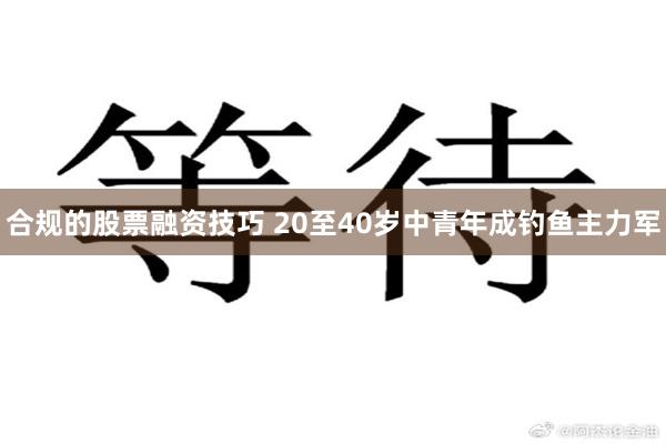 合规的股票融资技巧 20至40岁中青年成钓鱼主力军