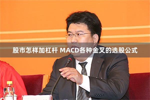 股市怎样加杠杆 MACD各种金叉的选股公式