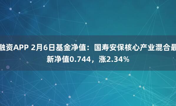 融资APP 2月6日基金净值：国寿安保核心产业混合最新净值0.744，涨2.34%