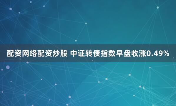 配资网络配资炒股 中证转债指数早盘收涨0.49%
